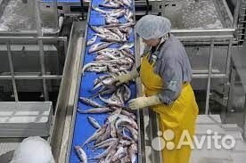 Разнорабочий