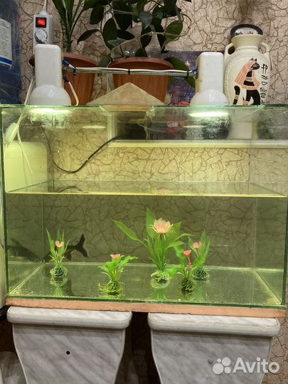 Аквариум