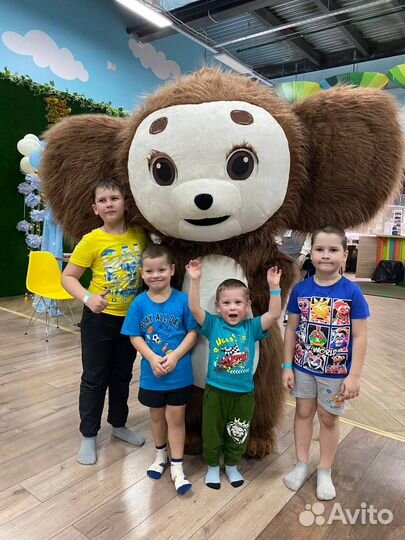 Мишки для поздравлений