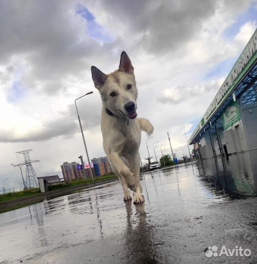 Кабель для вязки