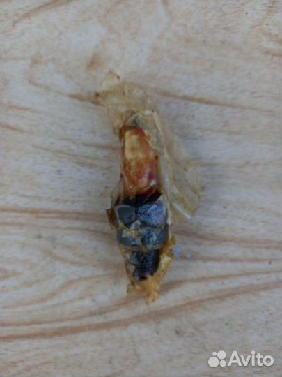 Свечи зажигания СССР