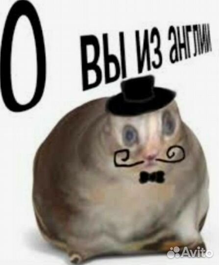 Репетитор по английскому языку для детей