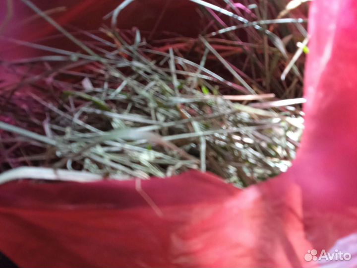 Сено для хомячков