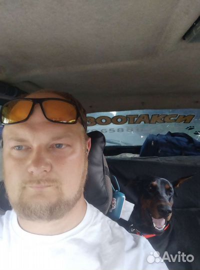 Зоотакси Перевозка животных