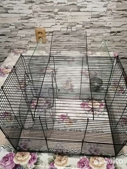 Клетка для грызунов бу