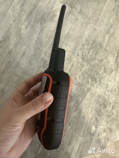 Навигатор garmin alpha 100