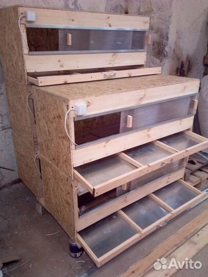 Брудер для цыплят