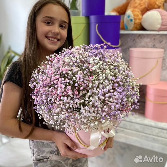 Гипсофила от производителя