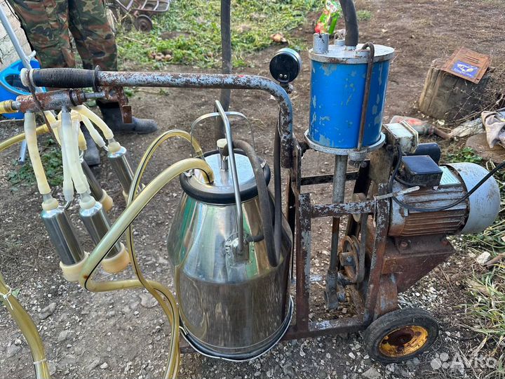 Доильный аппарат для коров 
