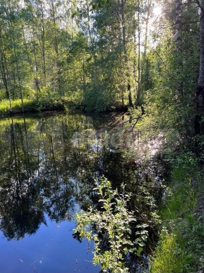 Участок 15 сот. (ИЖС)