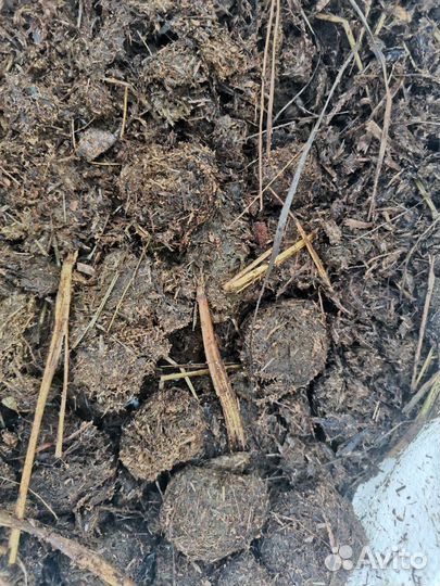 Навоз конский в мешках