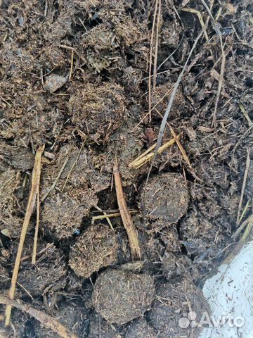 Навоз конский в мешках