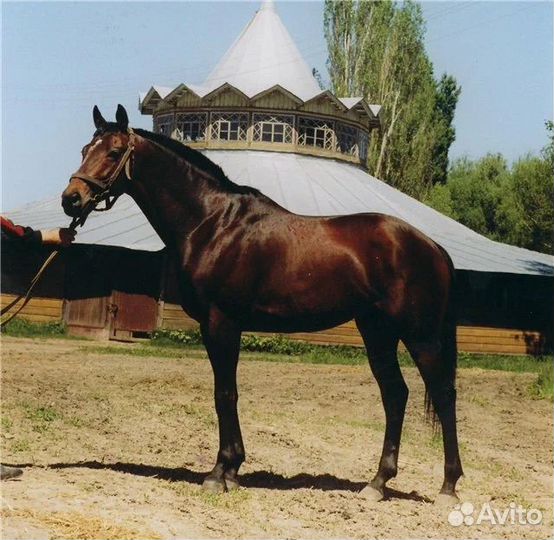 Разнорабочий