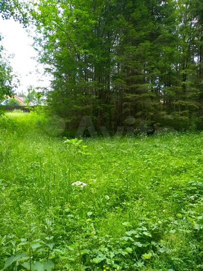 Участок 9 сот. (ИЖС)