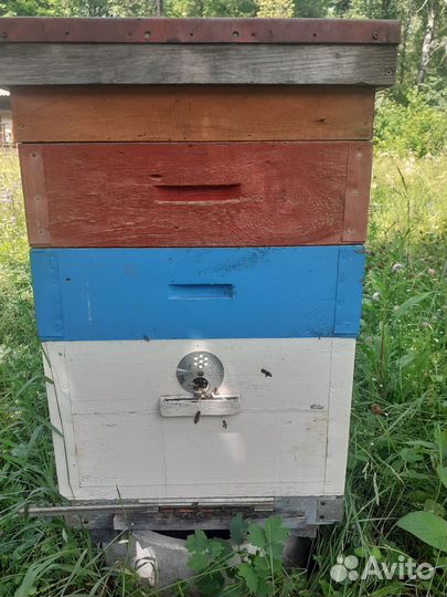 Улей для пчел 12рамок
