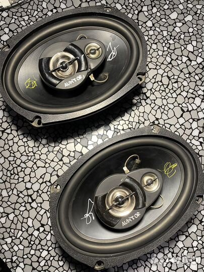 Динамики auditor овалы