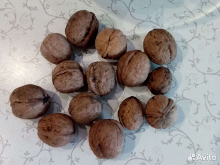 Орех грецкий