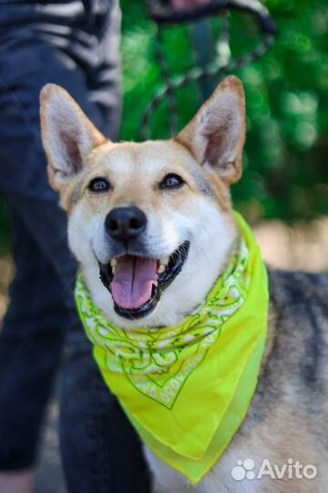 Чудесная девочка Кетрин бесплатно