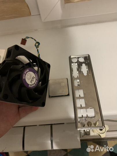 Процессор Amd с охладом