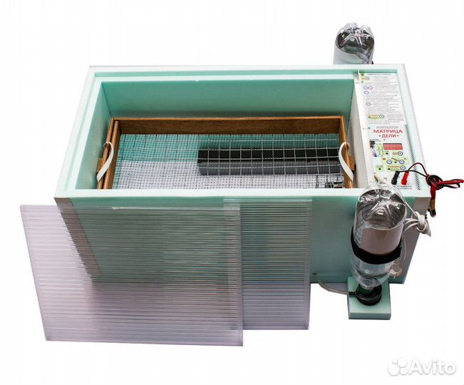 Инкубаторы блиц 