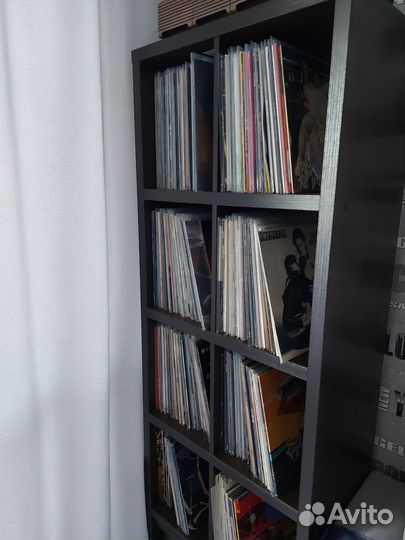 Фирменный винил-есть всё