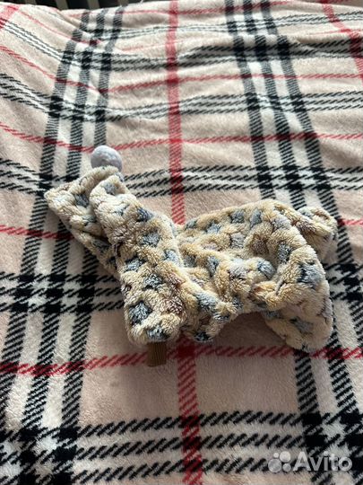 Одежда для собак