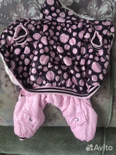 Одежда для средних собак