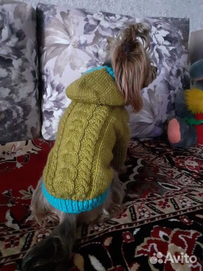 Одежда для питомцев