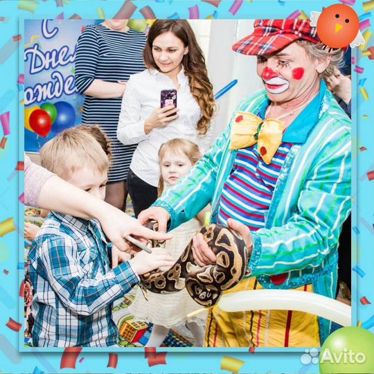 Артисты,аниматоры,шоу с животными,пудель-шоу,цирк