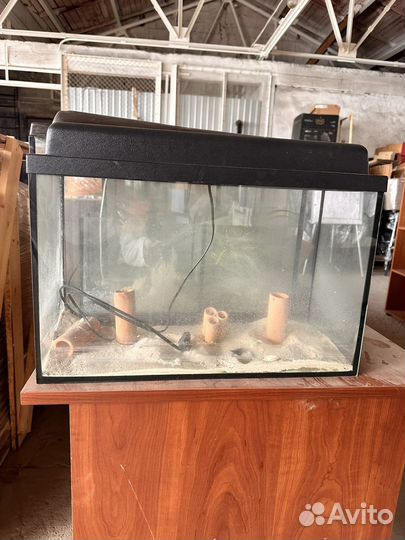 Аквариум