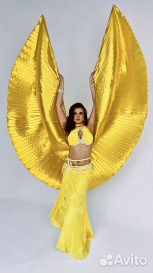 Танец живота восточные танцы на праздник