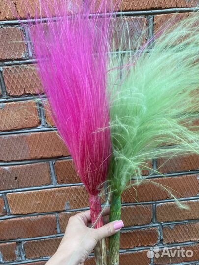 Суоцветы ковыль