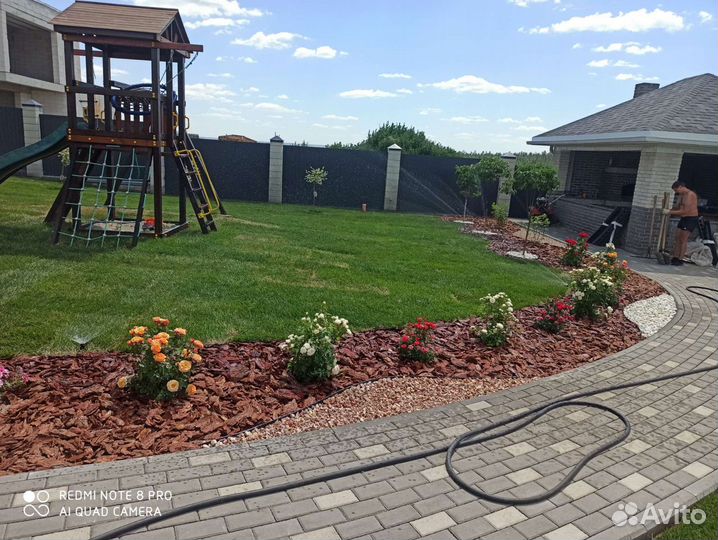 Кора сибирской листвиници