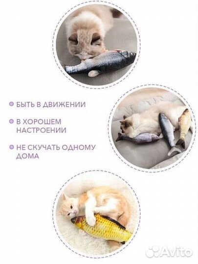 Новая интерактивная игрушка для кошек рыба