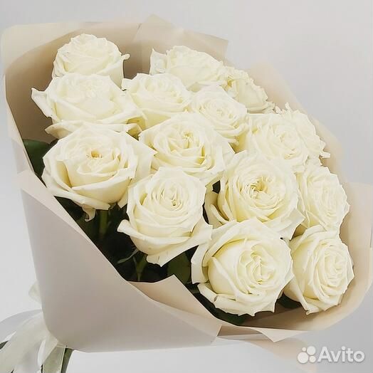15 белых эквадорских роз 