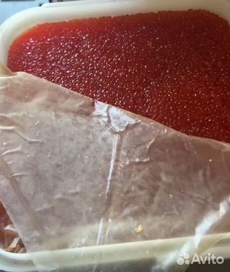 Красная икра кеты