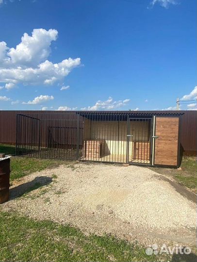 Вольер для собак опыт 6 лет