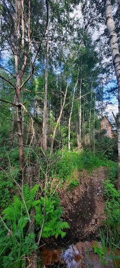 Участок 6 сот. (СНТ, ДНП)