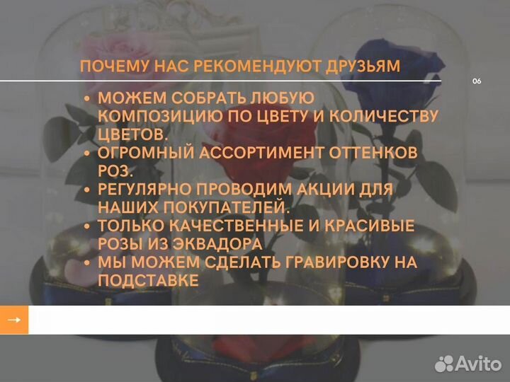 Роза в колбе. Новая