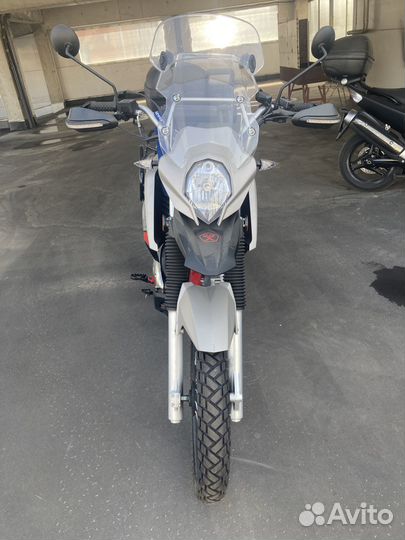 Minsk 400 goose Минск гусь 400