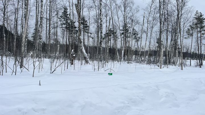 Участок 6 сот. (СНТ, ДНП)