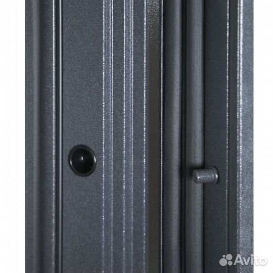 Дверь Арктика с зеркалом терморазрыв