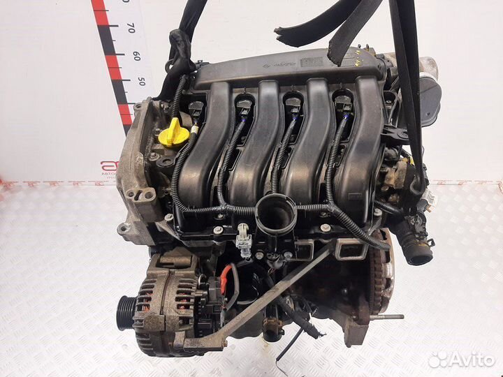 Двигатель Renault Megane 3 1,6
