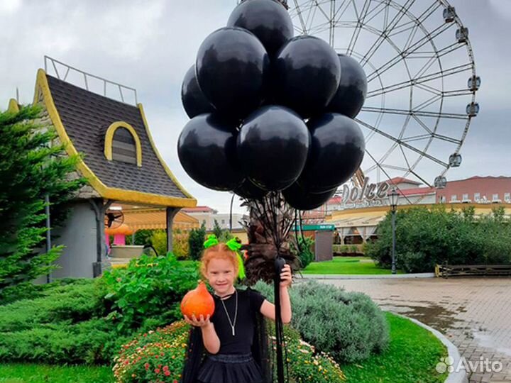 Доставка шаров Адлер, Сириус