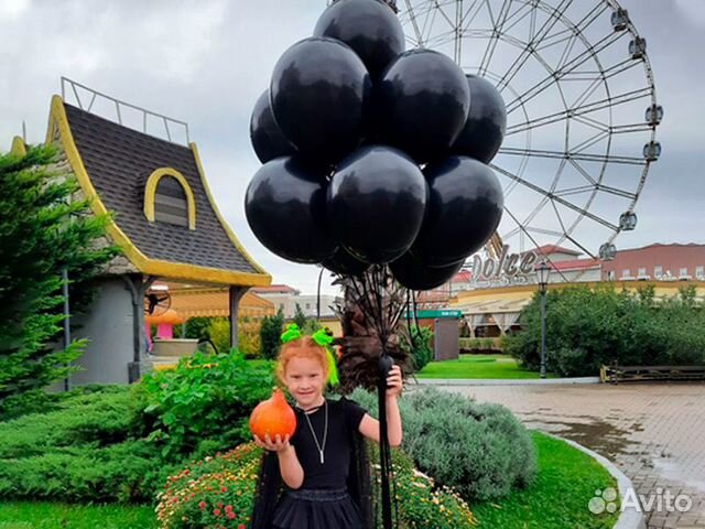 Доставка шаров Адлер, Сириус