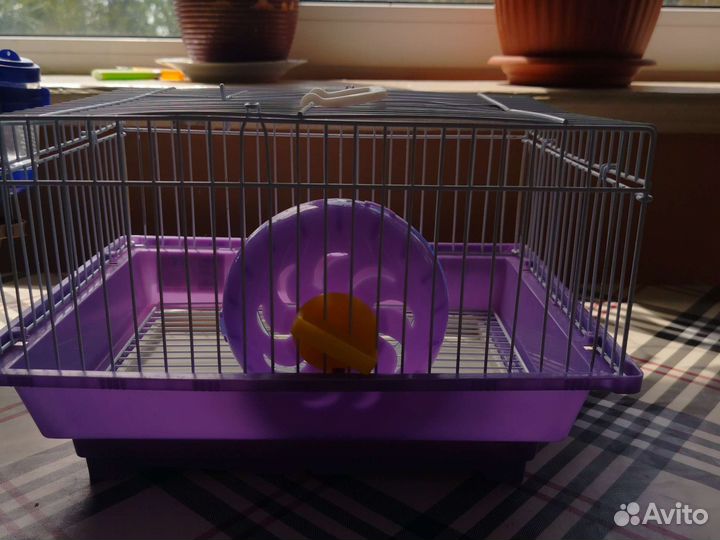 Клетка для джунгарского хомяка