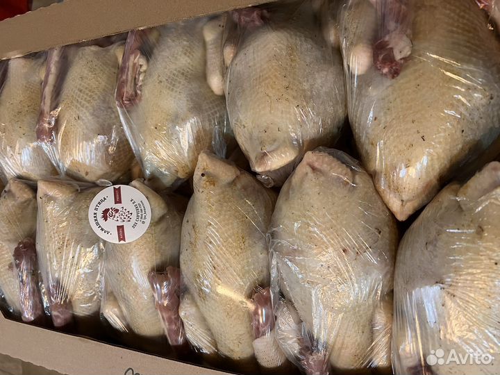 Домашнее мясо кур