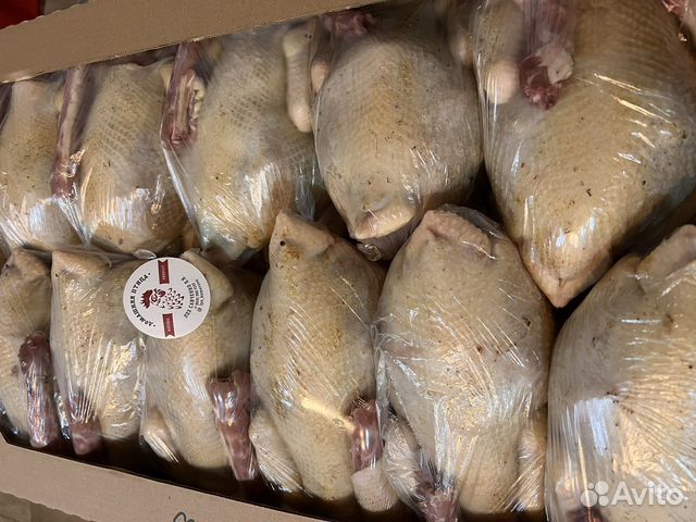 Домашнее мясо кур