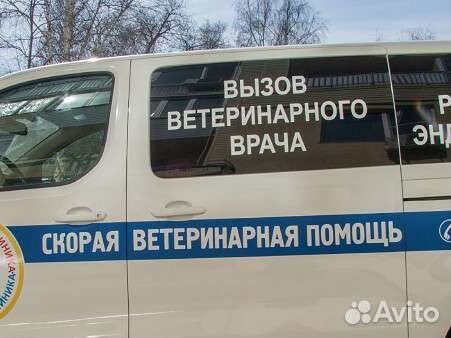 Ветеринарный врач на дом круглосуточно