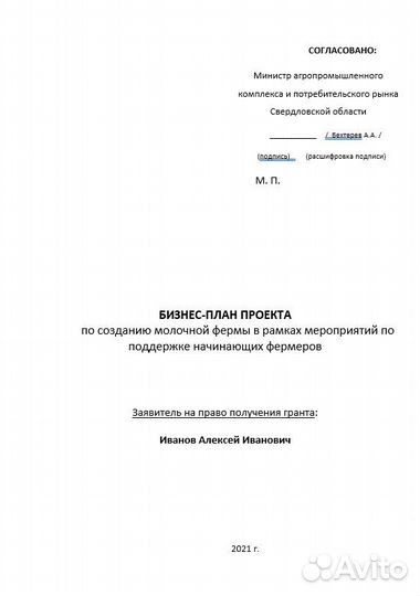 Бизнес план любой сложности. Соц.проект